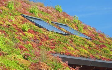 Starcross living roof systems