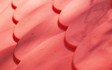 Starcross plastic roof costs