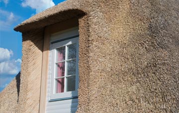 Starcross thatch roof disadvantages